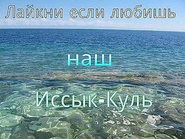 аренда земли: 10 соток, Для сельского хозяйства — 2