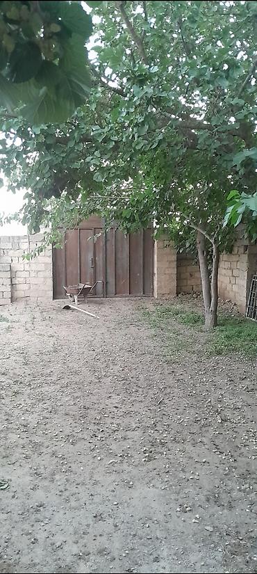 Torpaq sahələrinin satışı: 5 sot, Tikinti, Mülkiyyətçi, Bələdiyyə — 2