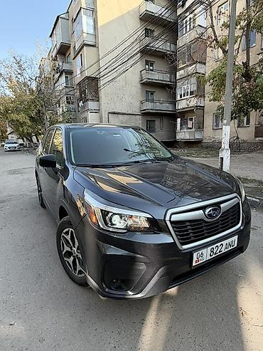 форестер авто: Subaru Forester: 2019 г., 2.5 л, Автомат, Бензин, Кроссовер — 8