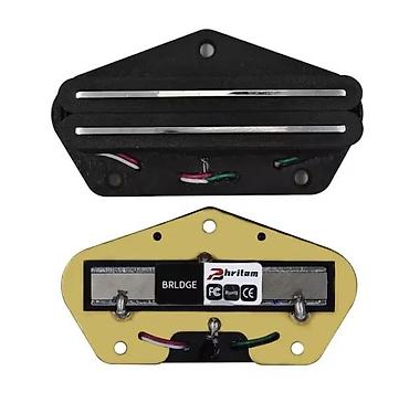 dot 2820: HOT RAIL TELE PICKUP MAGNET ALNICO 5 | Slanje po dogovoru ili lično — 1