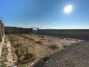 Həyət evləri və villaların satışı: Binəqədi qəs. 5 otaqlı, 130 kv. m, Kredit yoxdur, Yeni təmirli -da lalafo.az — 7 Həyət evləri və villaların satışı: Binəqədi qəs. 5 otaqlı, 130 kv. m, Kredit yoxdur, Yeni təmirli — 7