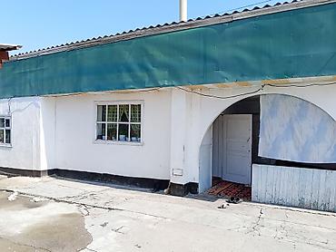 Продажа коттеджей и домов: Кара Балта Петропавловкадан үй сатылат 17.5 сотых жери менен — 6