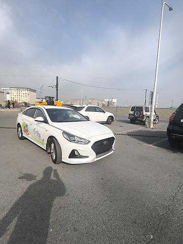 hyundai sonata купить: Hyundai Sonata: 2019 г., 2 л, Газ, Седан — 1
