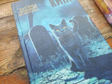 Другие товары для детей: Книга кладбище домашних животных автор Кинг стивен