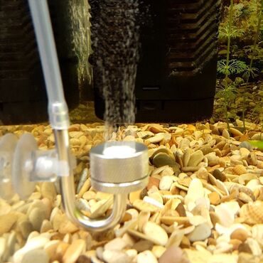 Аквариумы: CO2 Generato с присоской для аквариума, пузырьковый распылитель — 4