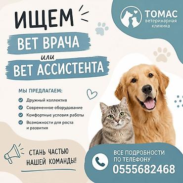 Животные: Ветеринарная клиника «Томас» — профессиональная помощь для ваших — 1