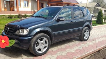 Mercedes-Benz: Mercedes-Benz M-Class: 1998 г., 3.2 л, Автомат, Бензин, Жол тандабас