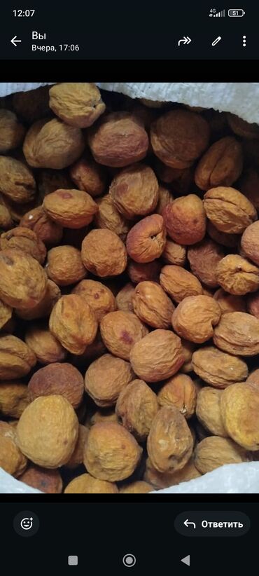 шкаф для сушки фруктов: Сушёный урюк (абрикос целый, с косточкой) - Происхождение: Баткен