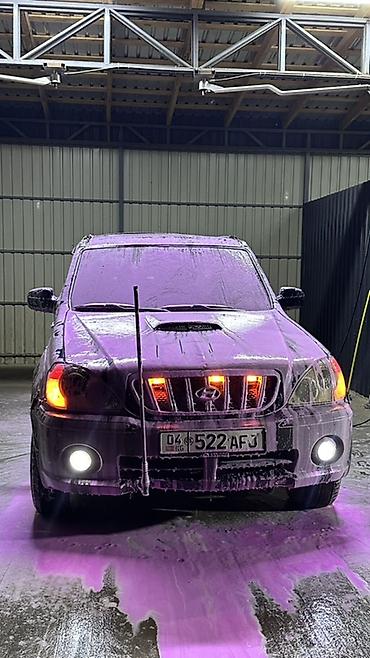 трекер авто: Hyundai Terracan: 2004 г., 2.9 л, Автомат, Дизель, Внедорожник — 1