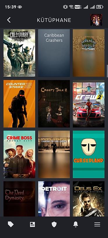 Digər oyun və konsollar: ÇOX ÇOX UCUZA STEAM HESABI SATILIR ƏLİMYANDIDA. Hesabdakı bütün — 5
