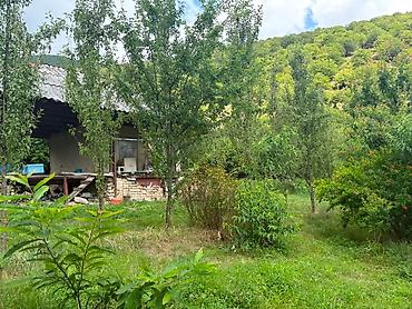 sabirabad torpaq: 37 sot, Tikinti, Mülkiyyətçi, Müqavilə — 10