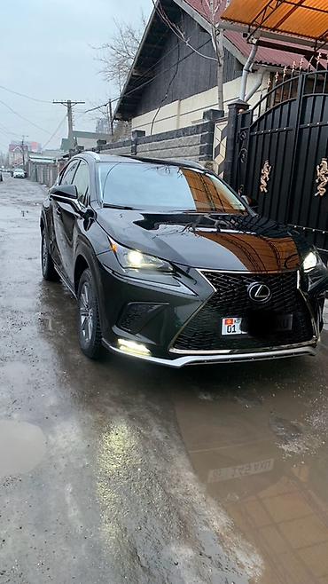 Lexus: Lexus NX: 2019 г., 2 л, Автомат, Бензин, Кроссовер — 12