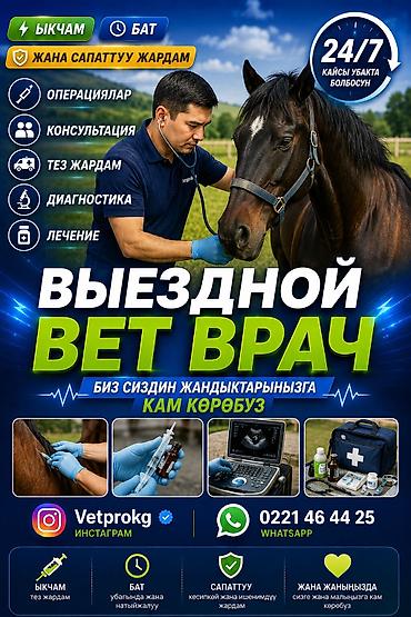кусачка для лошадей: VetProKg — ветеринарная клиника для сельскохозяйственных и домашних — 1