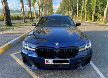 боковой тырмоо: BMW 5 series: 2018 г., 2 л, Автомат, Дизель, Седан
