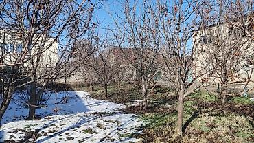 Продажа коттеджей и домов: Продаётся жилой дом с участком и капитальным ограждением. Участок — 10