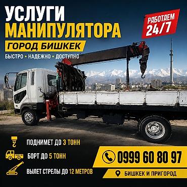 Жаанын 12 м, 3 т., Борттун 5 кг