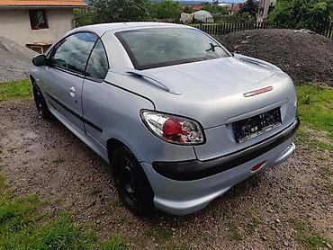 haube: GEPEK 206CC EYC BOJA ZA PEUGEOT 206 | Imam sve delove za peugeot 206 — 1