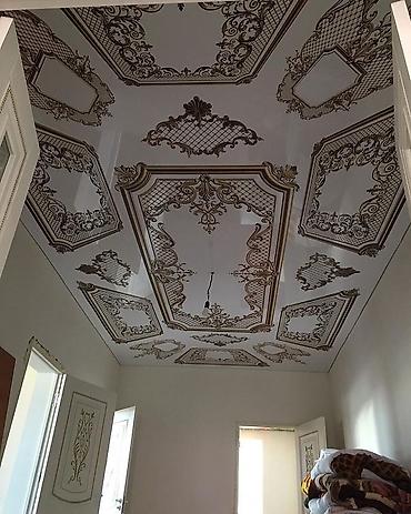 Натяжной потолок: ФИРМА НАТЯЖНОГО ПОТОЛКА ПРОФЕССИОНАЛЫ НАТЯЖНОГО ПОТОЛКА — 8