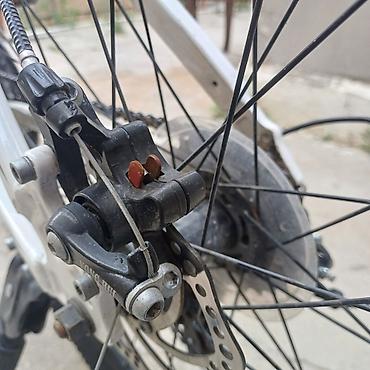 Şəhər velosipedləri: ZIGZAG şəhər/trek velosipedi - Rəng: ağ-qara (ZIGZAG loqosu) - — 6