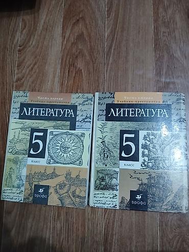 Литература. 5 класс — учебник-хрестоматия, издательство «Дрофа»