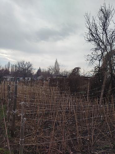 Продажа коттеджей и домов: Продается дом в г. Кара балта 17,5 соток. Мы посадили осенью новый — 20