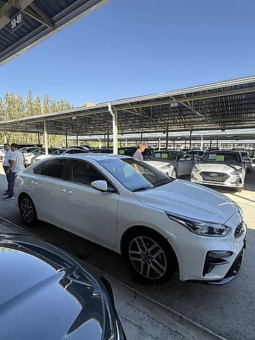 work kiwami: Kia K3: 2021 г., 1.6 л, Автомат, Бензин, Седан — 3