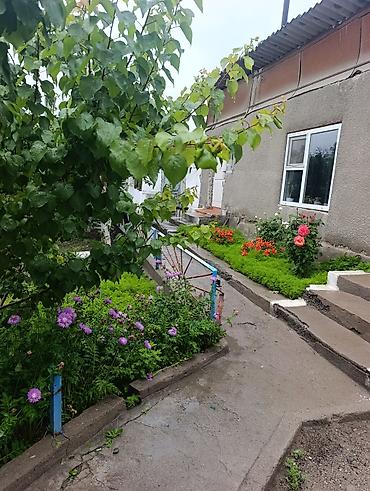 Продажа коттеджей и домов: Продаётся жилой дом с благоустроенным двором и садом. - Дом — 1