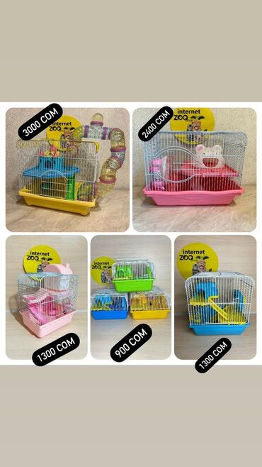 домик для хомяков: У нас большой выбор клеток для хомяков. Одноэтажные, двухэтажные