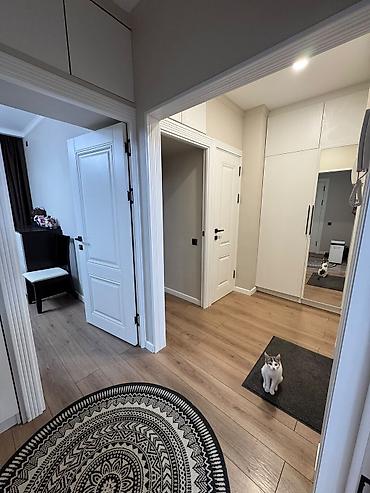 2 комнаты, 49 м², 105 серия, 1 этаж, Дизайнерский ремонт