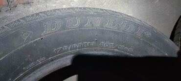 Шины: Шины 175 / 65 / R <13, Всесезонная, Б/у, Пара, Легковые, Германия, Dunlop