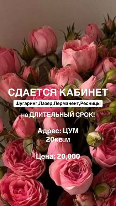 Кабинеты в салонах красоты: Сдаю Кабинет в салоне, 20 м², Для бровиста, Для шугаринга, эпиляции, Для визажиста