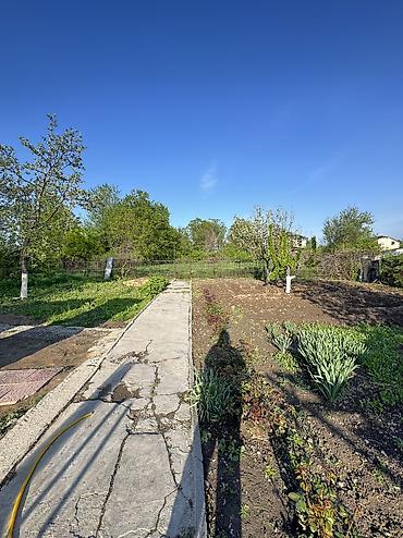 Продажа коттеджей и домов: ✨ Продаётся дом в с. Военно-Антоновка ✨ 🏡 Характеристики: • Участок - — 15