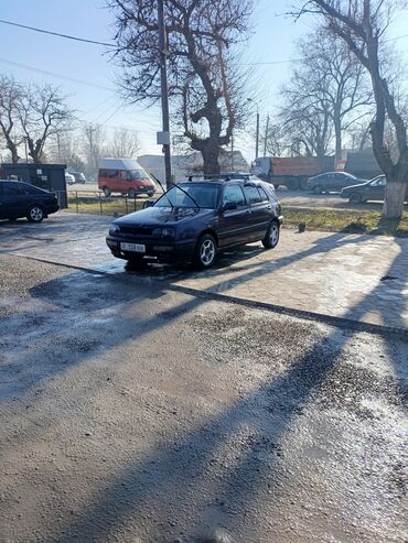 Volkswagen: Volkswagen Golf: 1994 г., 2 л, Механика, Бензин, Хэтчбэк