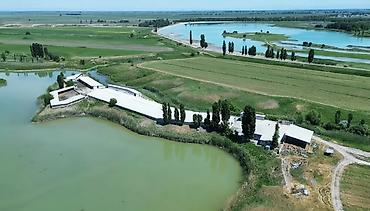 Farm КРС, 90 соток, С оборудованием, Электричество, Канализация, Отопление