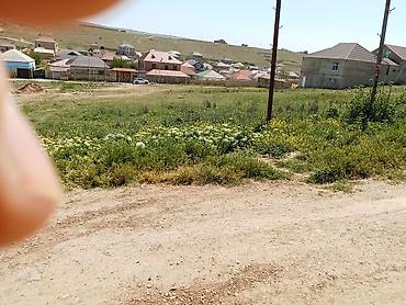 dübəndidə torpaq: 8 sot, Tikinti, Kupça (Çıxarış) — 1