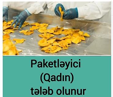 malyar isi: Qablaşdırıcı tələb olunur, Təcrübəsiz — 1