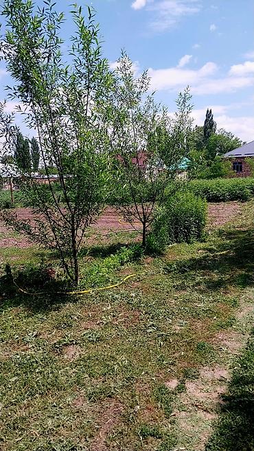 Продажа коттеджей и домов: Продаетьсядом новый с большим участком 12.6соток участок квадратный — 26