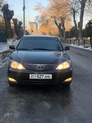 тойота виндом 1996: Toyota Camry: 2003 г., 2.4 л, Автомат, Бензин