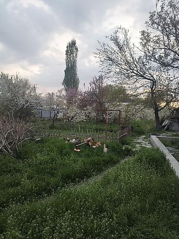 80: 15 соток, Для бизнеса, Красная книга — 7