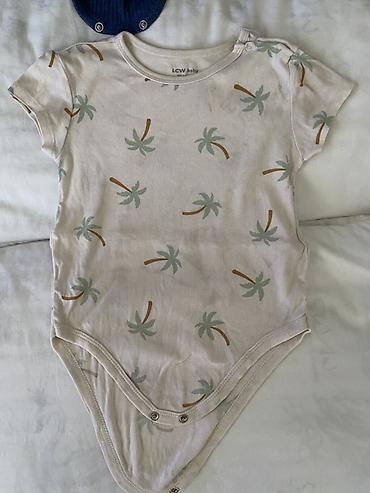 Боди: Боди — 13