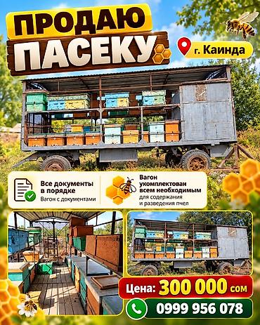 кербен авто: Продаю пасеку Г.Каинда Все документы в порядке, вагон с документами — 1