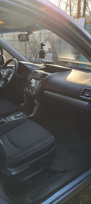 subaru forester 2017: Subaru Forester: 2016 г., Автомат, Бензин, Кроссовер — 3