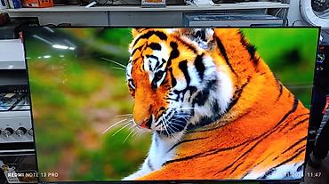 google: Телевизор YASIN 65" LED-65Q90 (4K QLED, Google TV) - Диагональ: 65 — 2