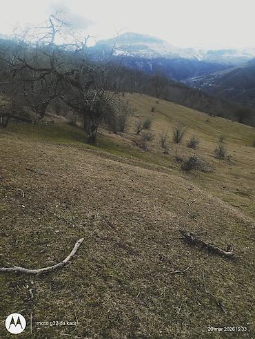 Torpaq sahələrinin satışı: 130 sot, Kənd təsərrüfatı, Kupça (Çıxarış) — 8