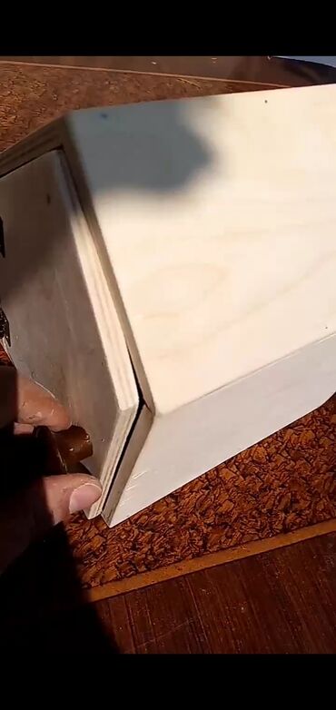 Yuvalar: Quş yuvaları — 4