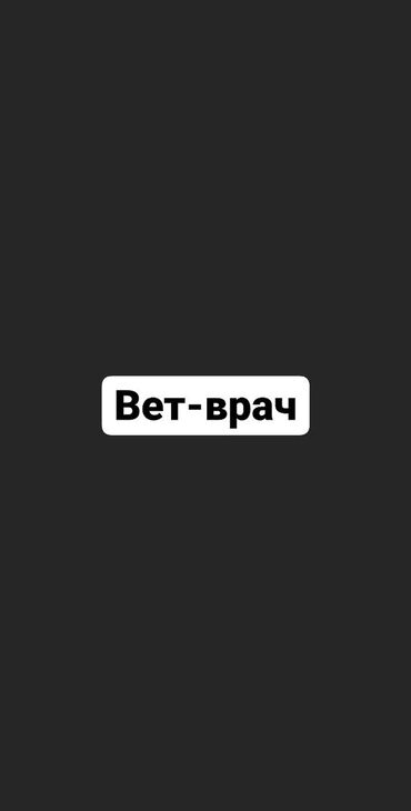 Услуги ветеринара: Вет- врач!!! все виды ветеринарных услуг!!! искусственное осеменение