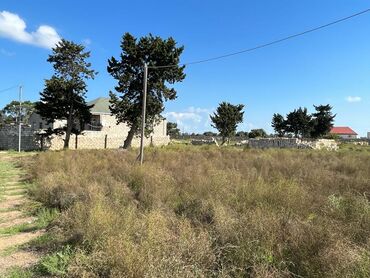 Torpaq sahələrinin satışı: Tikinti, Barter mümkündür — 7