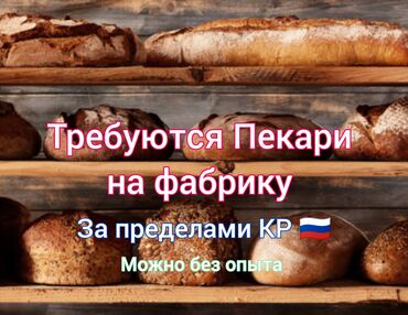 я ищ: Талап кылынат Нан бышыруучу, Тажрыйбасыз