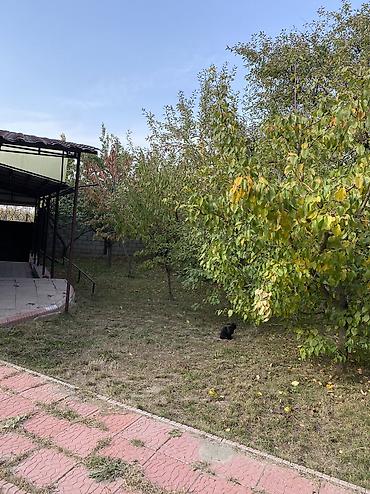 Продажа дач: Продаю дом в дачном поселке. Ск. Горный ветерок(кок жар) Со всеми — 4