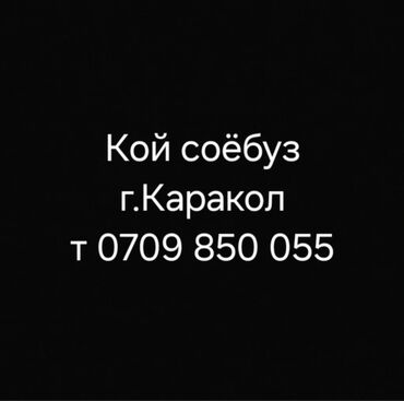 арендага машине берем: Көчмө банкеттер | Касапчы